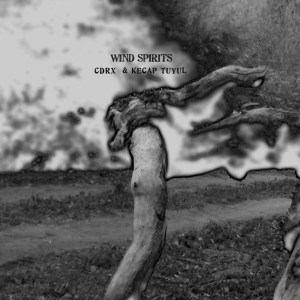 Wind_Spirits_01_cover