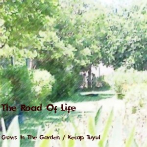 the road of life 500x500